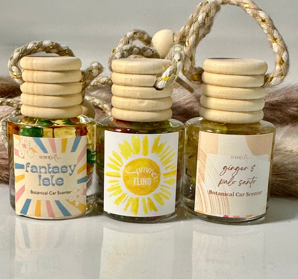 Car oil Diffuser Set of 3
